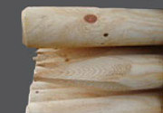 Baumpfähle