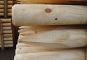 Baumpfähle