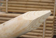 Baumpfähle