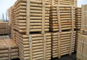 Palisades, length 0,3 - 4m